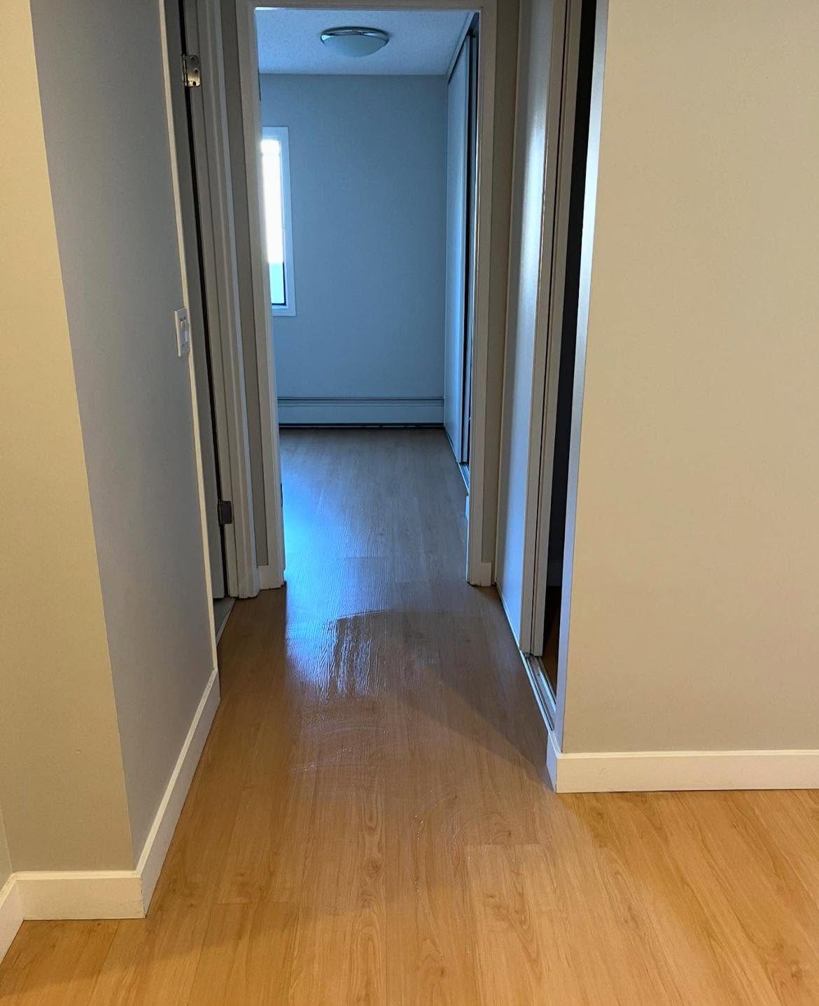 Move-In / Move-Out Cleaning